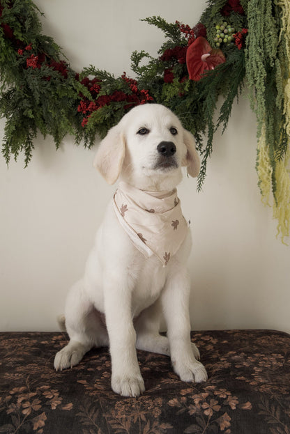 Bamboo Bandana | Gingersnap