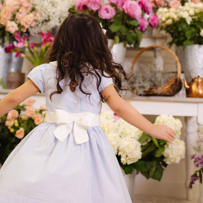 Organic Seersucker Peter Pan Collar Dress