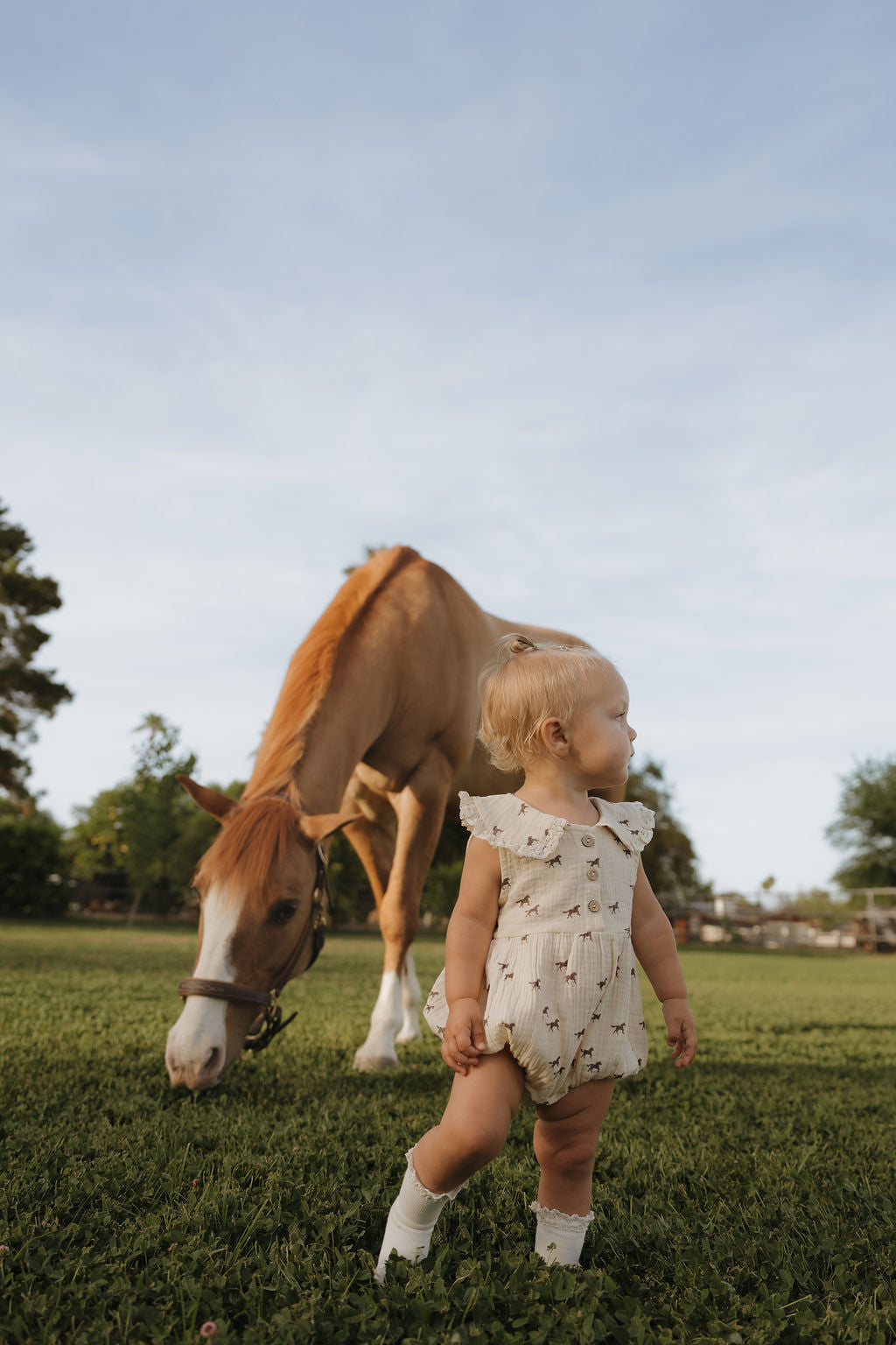 Child in a patterned romper standing next to a horse in a grassy field