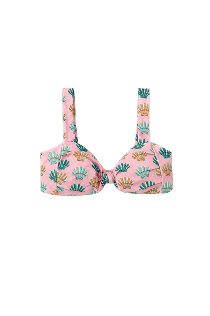 Women's Seashell Sorbet Bikini Top