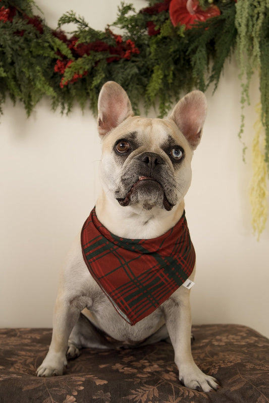Bamboo Bandana | Christmas Plaid