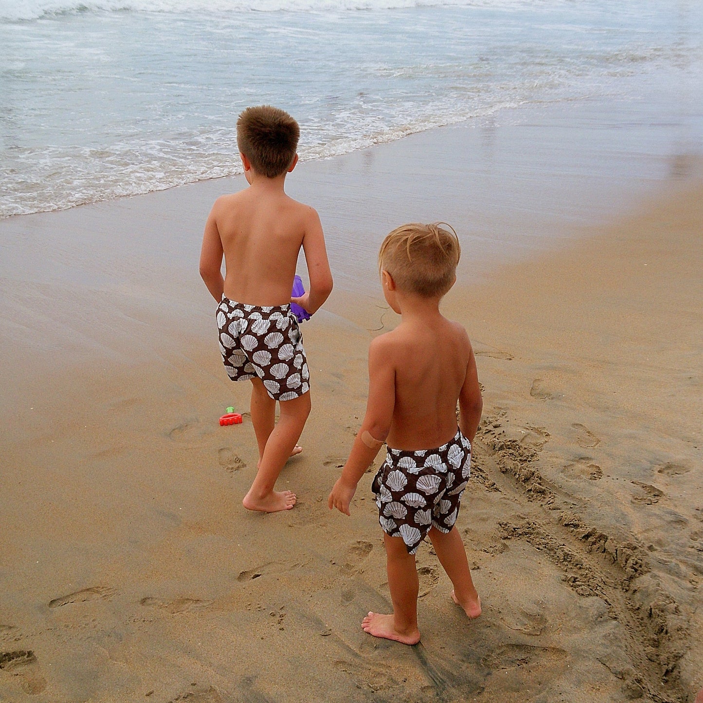 Child Board Short | Seashells