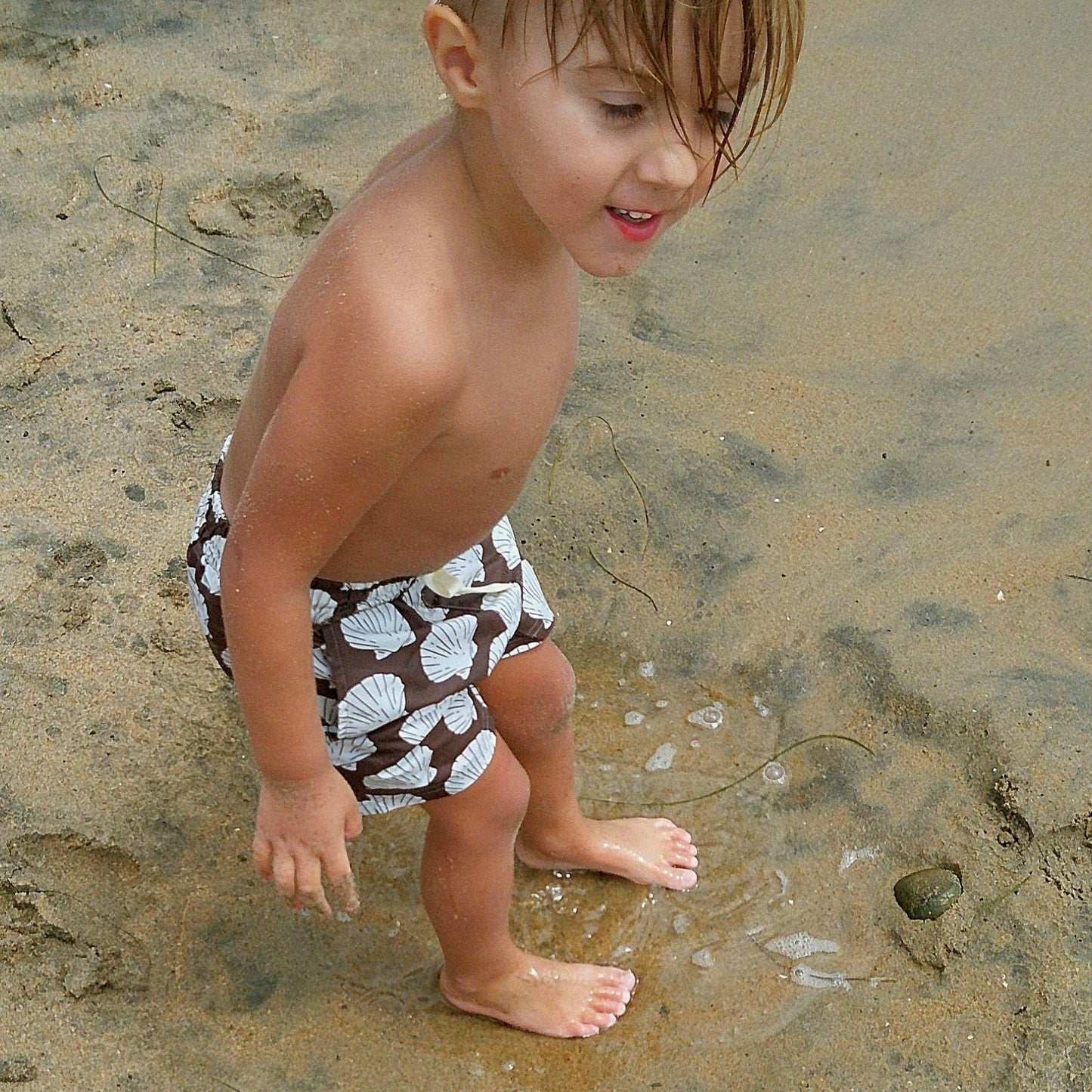 Child Board Short | Seashells