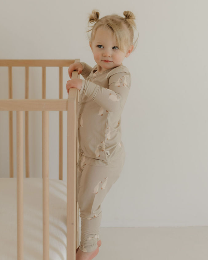 Bamboo Two Piece Pajamas | Silly Goose