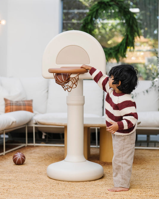 Wholesale Basketball Hoop