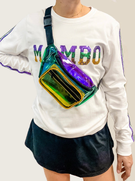 Color Block Transparent Fanny Pack