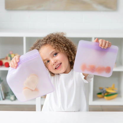 Silicone Flat Reusable Bag 2 Pack