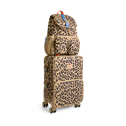 Logan Carry-On Suitcase