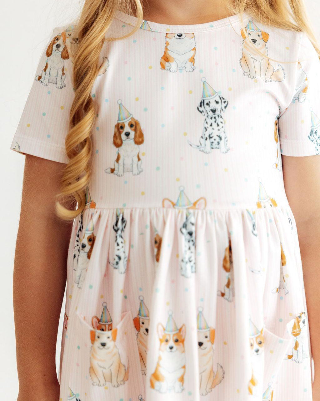 Party Pups S/S Pocket Twirl Dress